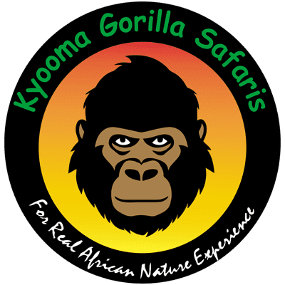 kyooma gorilla safaris