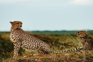 3 Days In Kidepo