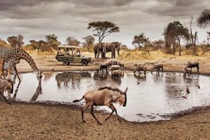 A visit to Ngorongoro Crater