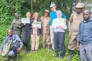 Gorilla trekking safari