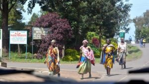 gorilla tracking tours in uganda