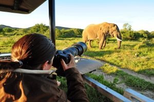 About morning game drives