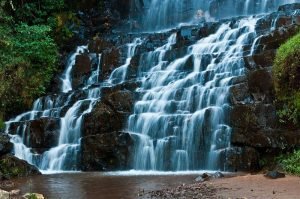 Kibira National Park