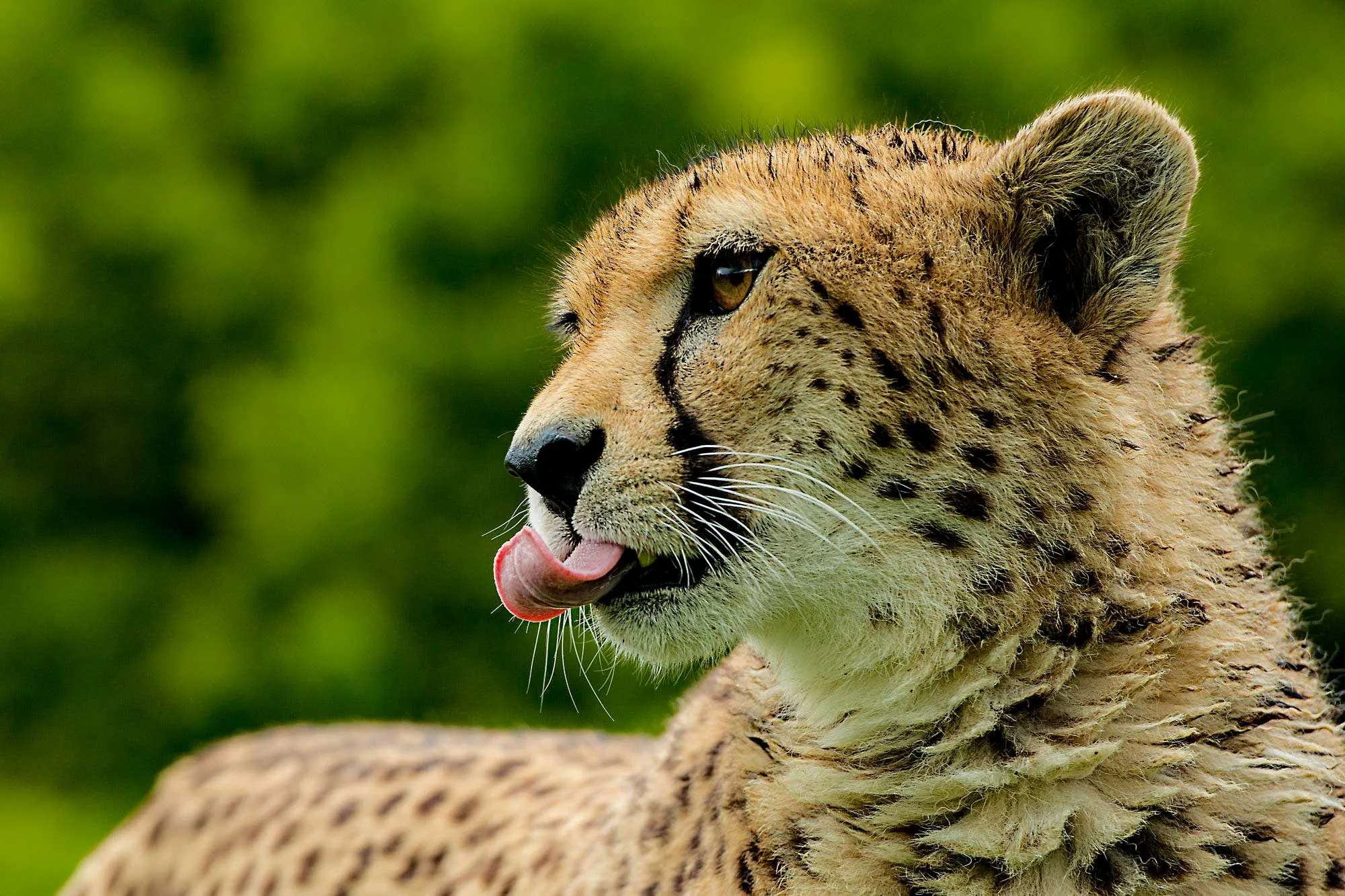 Kidepo Valley National Park