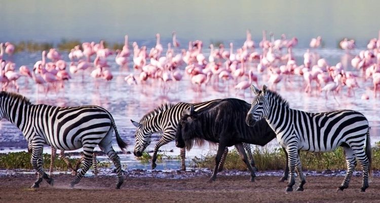 Lake Nakuru National Park