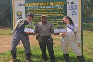 Nature Walks and Gorilla Safaris