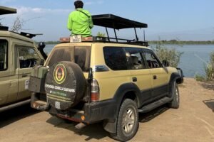 game drives