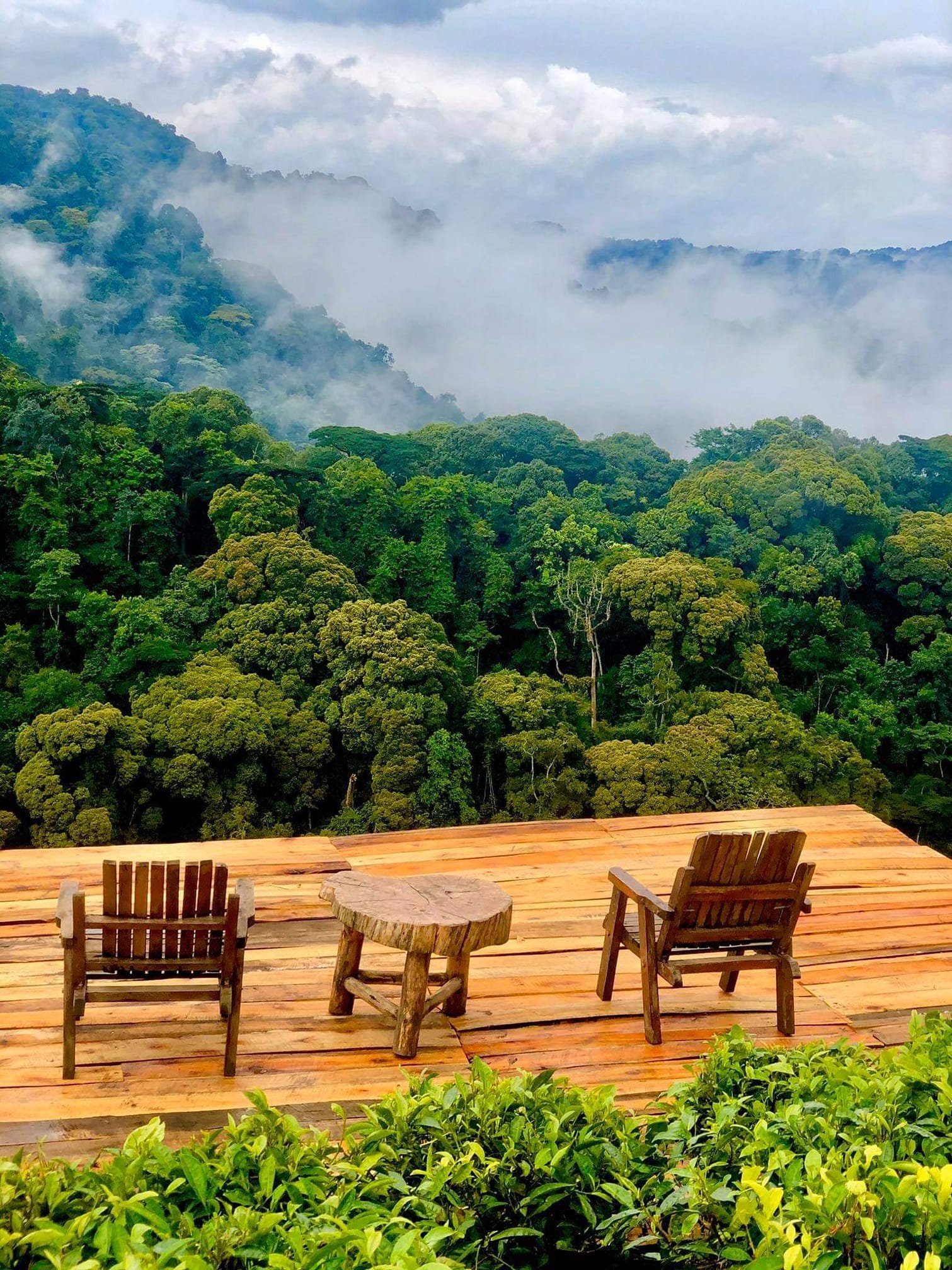Bwindi