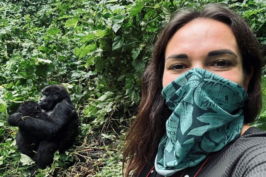 Can a Silverback Gorilla Be Tamed?