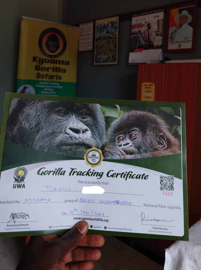 3 Days Gorilla trekking certifcate