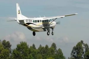 Fly-In Safari to Bwindi