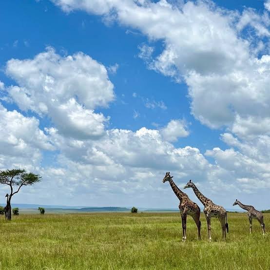 KENYA