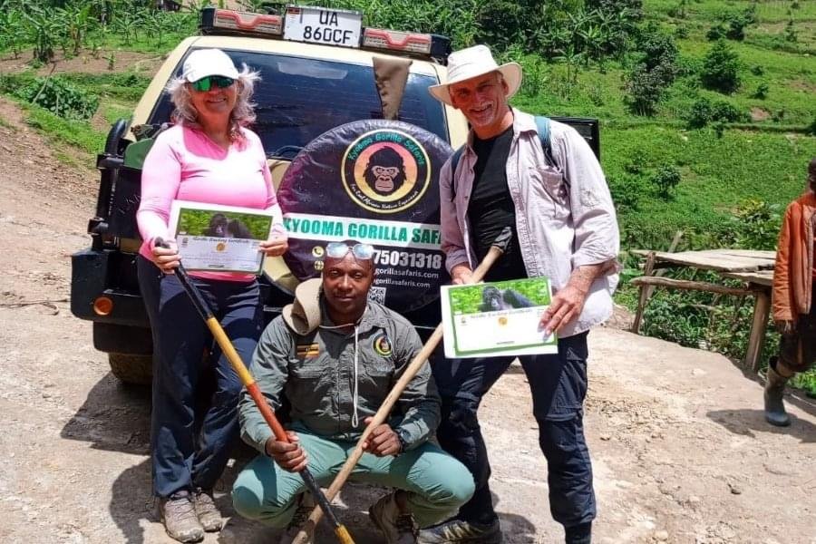 How Much Does a Gorilla Safari Cost?